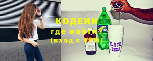 стаф Богородск