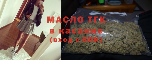 прущий лед Богданович