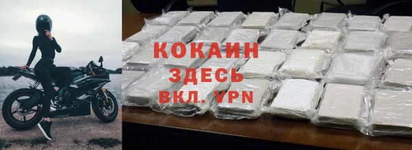 стаф Богородск