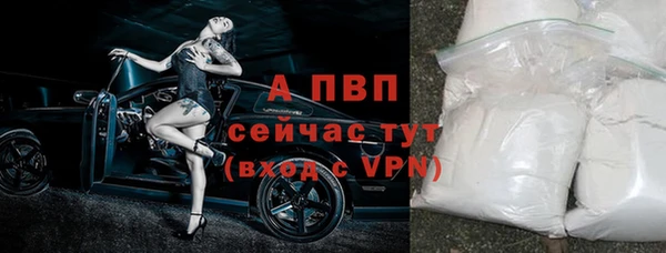 стаф Богородск