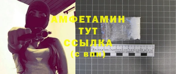 прущий лед Богданович