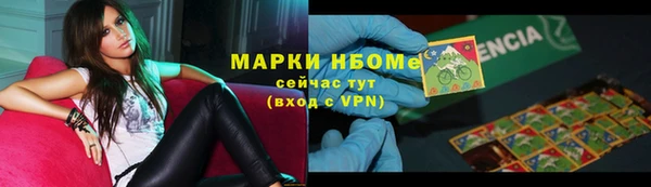 стаф Богородск
