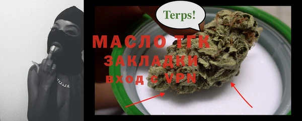 стаф Богородск
