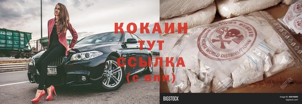 прущий лед Богданович