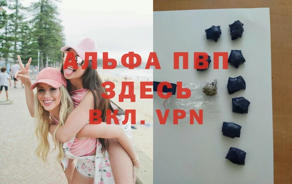 стаф Богородск