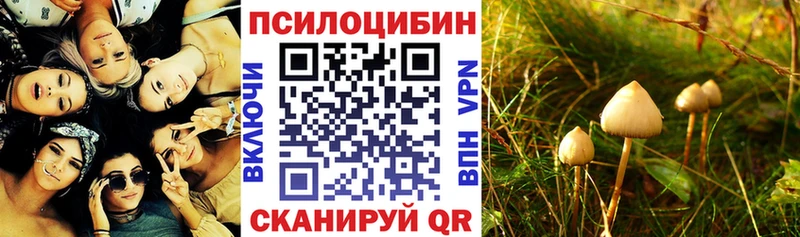 Псилоцибиновые грибы мицелий  где найти   Кочубеевское 