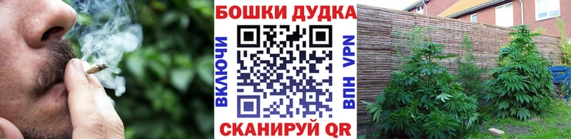 Марихуана индика  как найти наркотики  Кочубеевское 